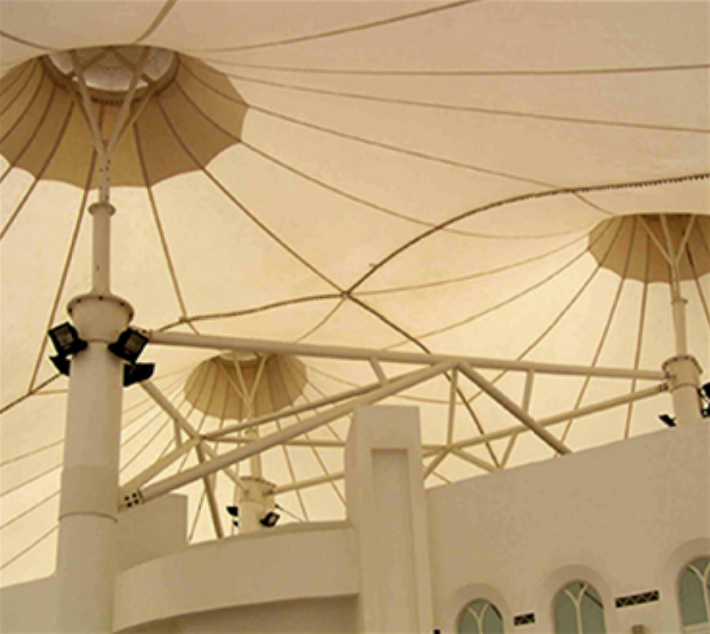 Camel Racing Platform